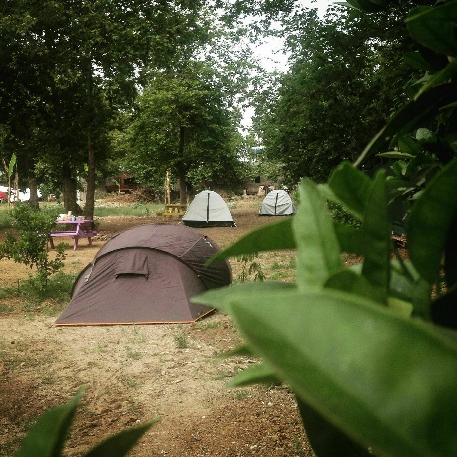 Bellerofon Caravan & Camping Çıralı エクステリア 写真